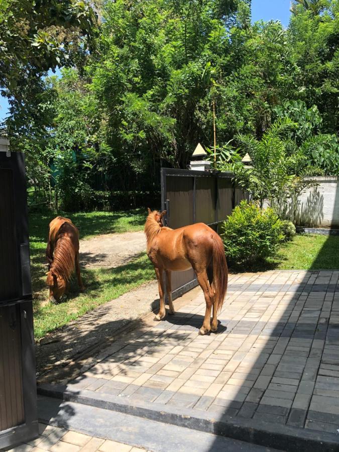 Lanka Villa Mirissa Εξωτερικό φωτογραφία