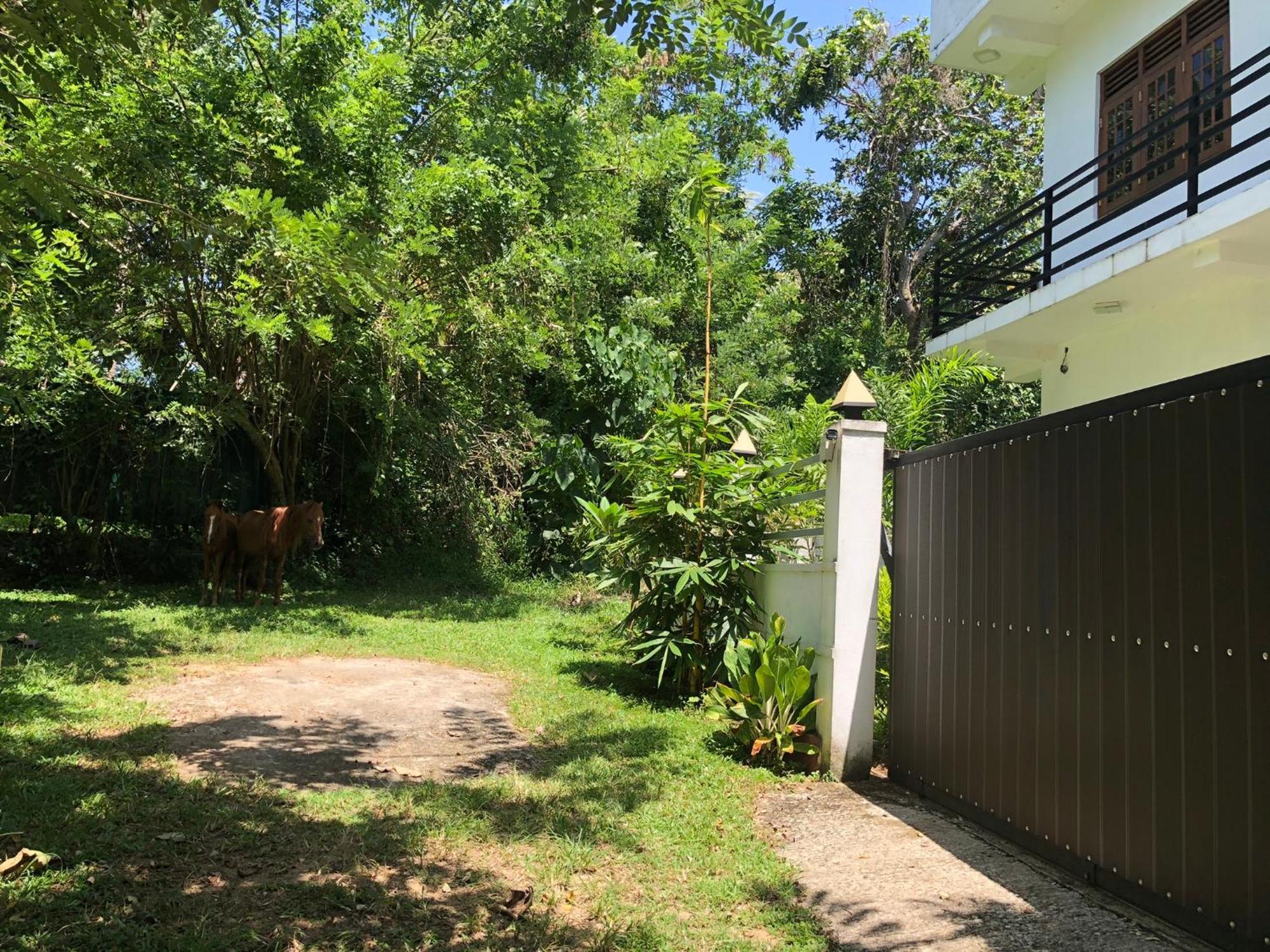 Lanka Villa Mirissa Εξωτερικό φωτογραφία